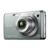 Sony DSC-W210 (DSC-W210G)